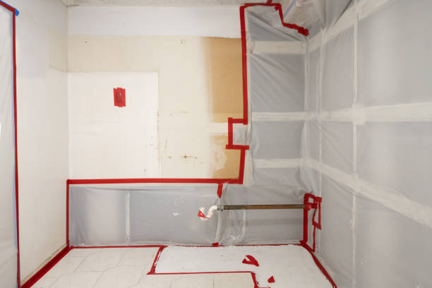 Mold Odor Removal Services in Jennings Lodge, OR