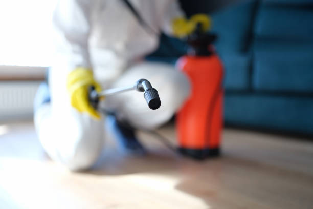 Professional Mold Removal in Jennings Lodge, OR